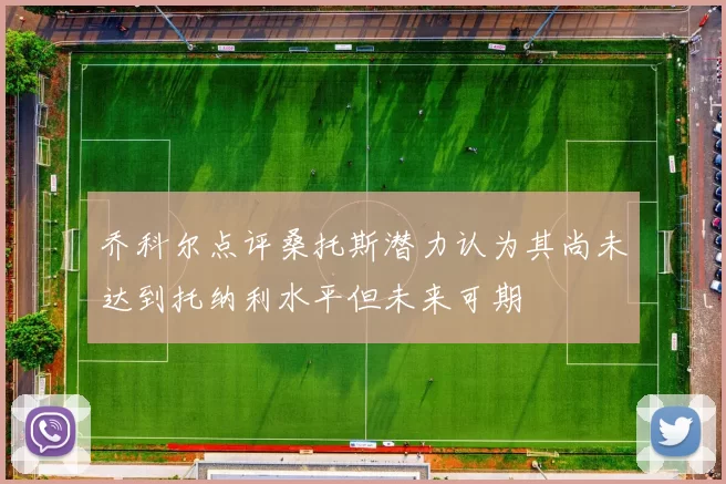 乔科尔点评桑托斯潜力认为其尚未达到托纳利水平但未来可期