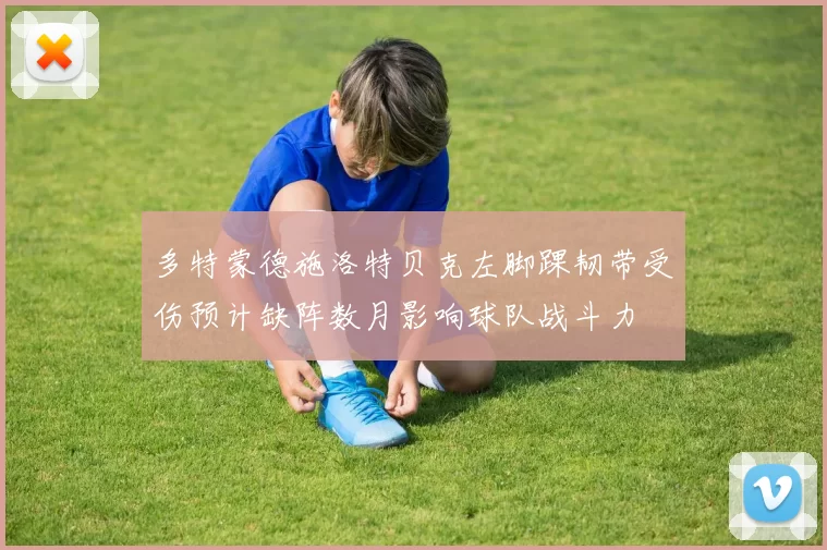 多特蒙德施洛特贝克左脚踝韧带受伤预计缺阵数月影响球队战斗力