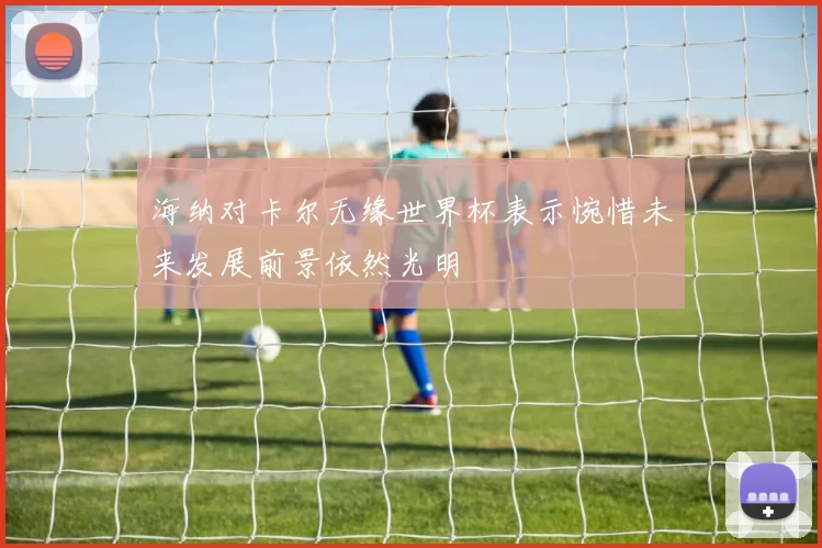 海纳对卡尔无缘世界杯表示惋惜未来发展前景依然光明